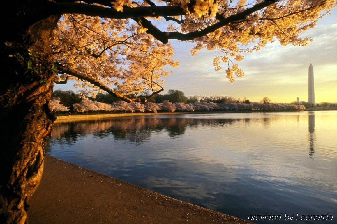 Fairfield By Marriott Inn & Suites Herndon Reston Fasilitas foto